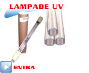 Entra