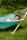 Home Garden Hammock With Curacao Blue Fruit Auction (ds)