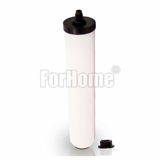 Candle ceramic filter cartridge Ø 55mm. + GAC