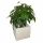 Planter in Solid Wood Fir Square White Indoor or Outdoor Home Garden Planter